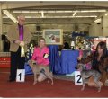 Sighthound specialty show Zagreb, HR - V1,CAC,best female, BOB